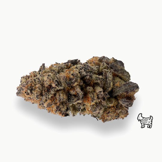 The Laughing Goat - PURPLE PUNCH | BIG BUDS - 1