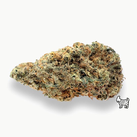 The Laughing Goat - SACRED ASH | BIG BUDS - 1