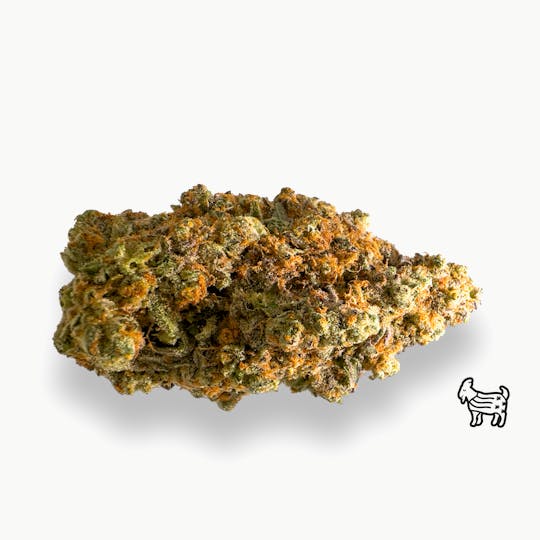 The Laughing Goat - PP FLOWER 1/4oz - Sundae Driver - 1