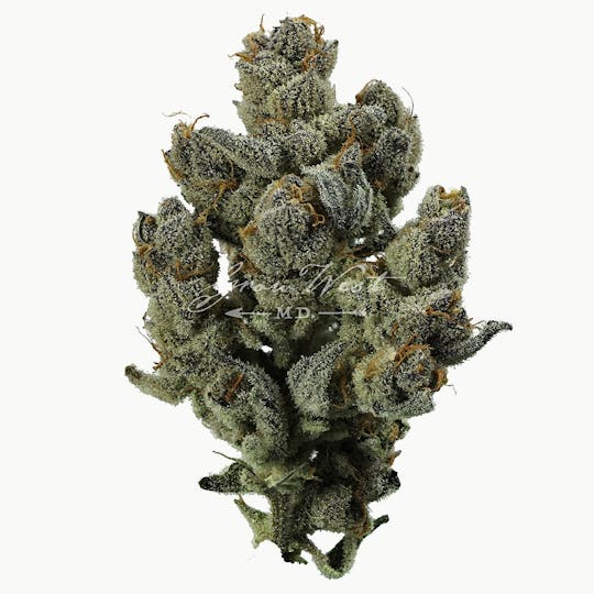 Grow West Cannabis Company - Mad Tiger | Gold | Trimmed Flower - 1