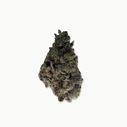 Indico - Roadkill Skunk - The Last Frontier - 1