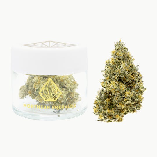 Northern Emeralds - Mango Menage - 1