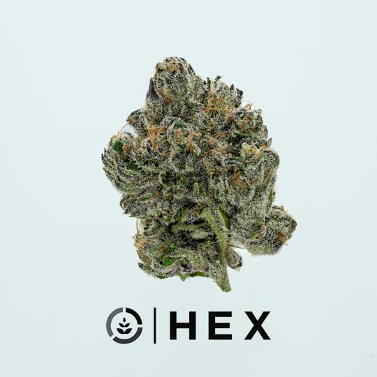 HEX - HEX | Tropical Runtz | 3.5G - 1