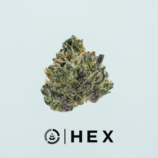 HEX - HEX | Tropical Runtz Smalls | 7G - 1