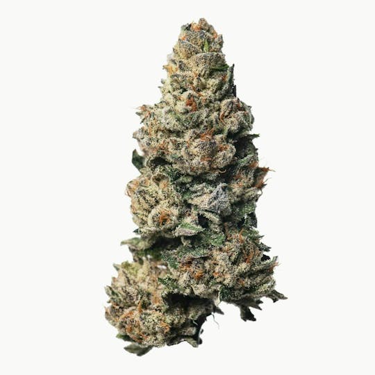 Proper Cannabis - Proper Cannabis - Cherry Cosmo | 1g - 1