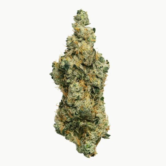 Proper Cannabis - Proper Cannabis - GMO Cookies | 1g - 1