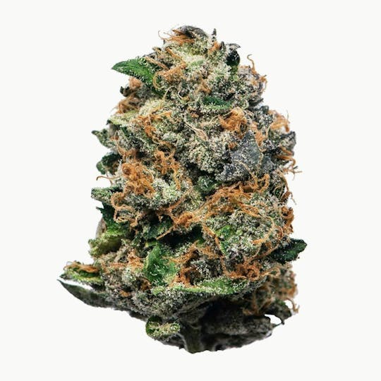 Proper Cannabis - Proper Cannabis - Jigglers | 1g - 1