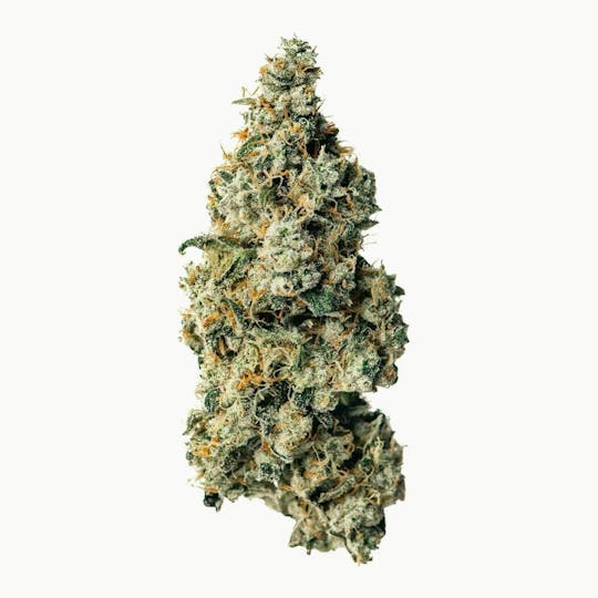 Proper Cannabis - Proper Cannabis - Lemon Cherry Gelato | 1g - 1