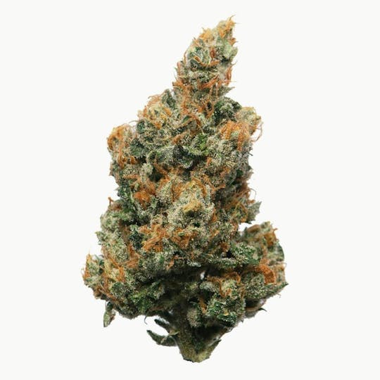 Proper Cannabis - Proper Cannabis - Memory Loss | 1g - 1