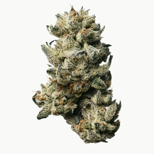 Proper Cannabis - Proper Cannabis - Oreoz | 1g - 1