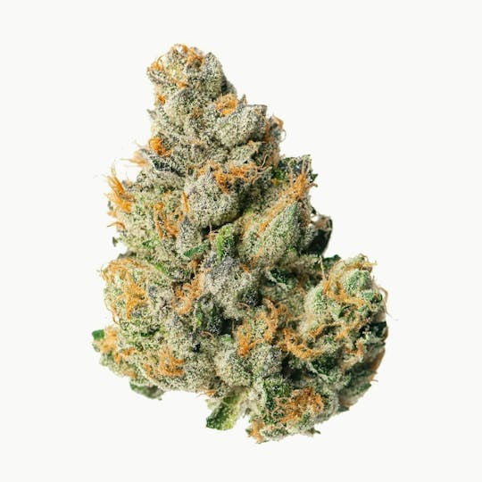 Proper Cannabis - Proper Cannabis - OZ Kush | 1g - 1