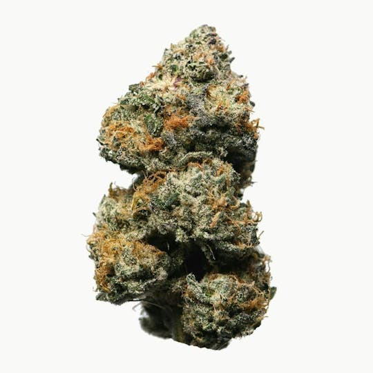 Proper Cannabis - Proper Cannabis - Stuffed Cherry Gelato | 1g - 1