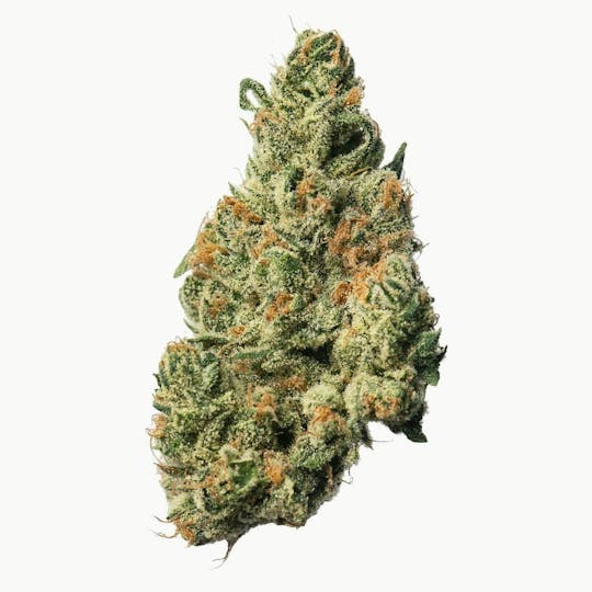 Proper Cannabis - Proper Cannabis - Sumo Citrus | 1g - 1