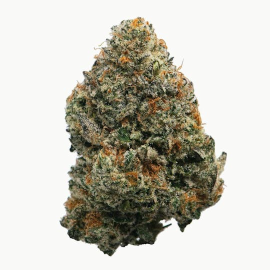 Proper Cannabis - Proper Cannabis - The Beavs | 1g - 1