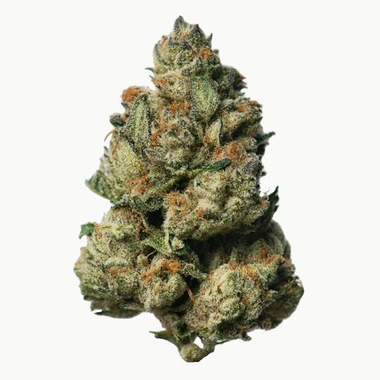 Proper Cannabis - Proper Cannabis - Trunk Funk | 1g - 1