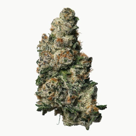 Proper Cannabis - Proper Cannabis - Vice City | 1g - 1