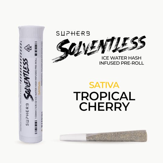 Supherb Technology - Supherb - Tropical Cherry Sativa Rosin Preroll 1g - 1