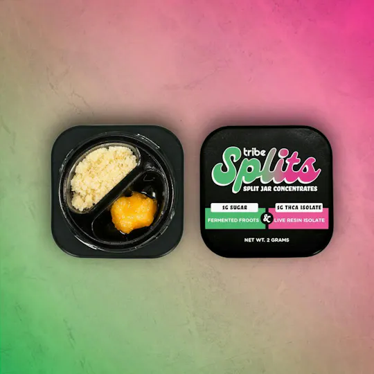 Tribe - Tribe | Fermented Froots | 1g Live Sugar + 1g THCA | Splits Concentrate - 1