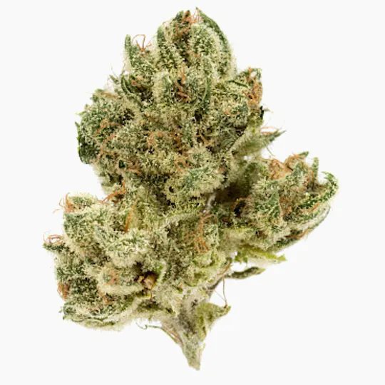 Aims Horticulture - Aims Horticulture | Jack The Ripper | Flower | 1g - 1