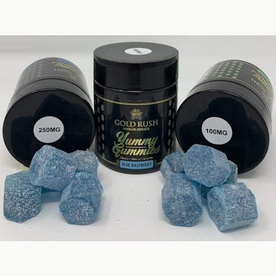Gold Rush Premium Extracts - Yummy Gummy 100mg - Blue Raspberry - 1