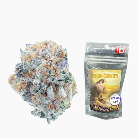 Sooner Glue - 3.5g Lemon Cookies - Falcanna Pre-Pack Flower - 1
