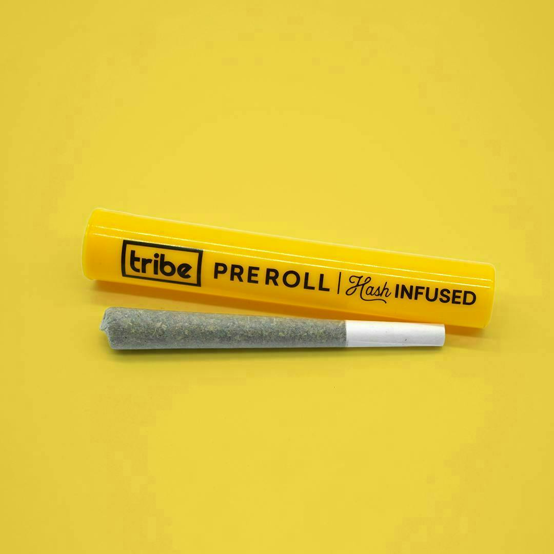 Tribe - Tribe | Bluntz | Solventless Infused Joint | 1g - 1