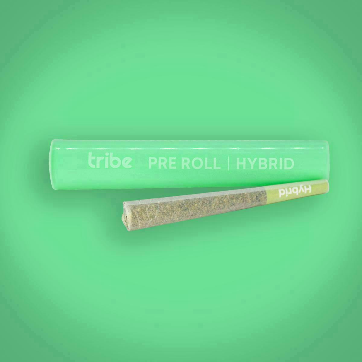 Tribe - Tribe | Chimera | Joint | 1g - 1