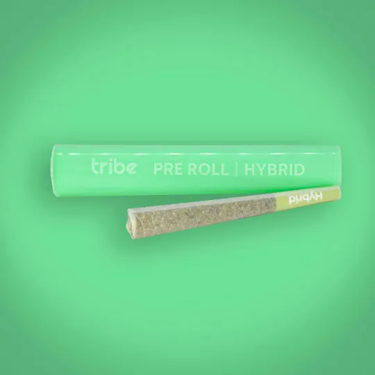 Tribe - Tribe | Chimera | Joint | 1g - 1