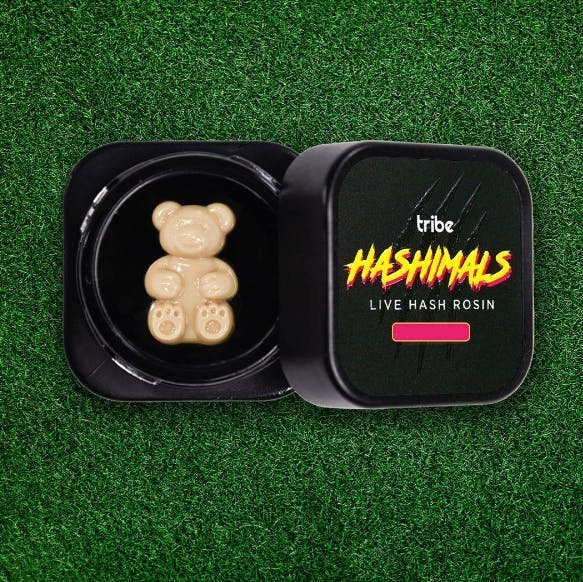 Tribe - Tribe | The Juice | Bear Hashimals | 1.5g - 1