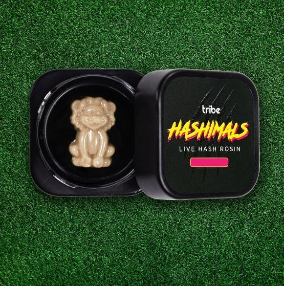 Tribe - Tribe | The Juice | Lion Hashimals | 1.5g - 1