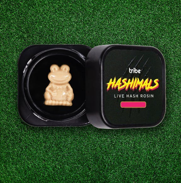 Tribe - Tribe | Yeti Forest | Frog Hashimals | 1g - 1