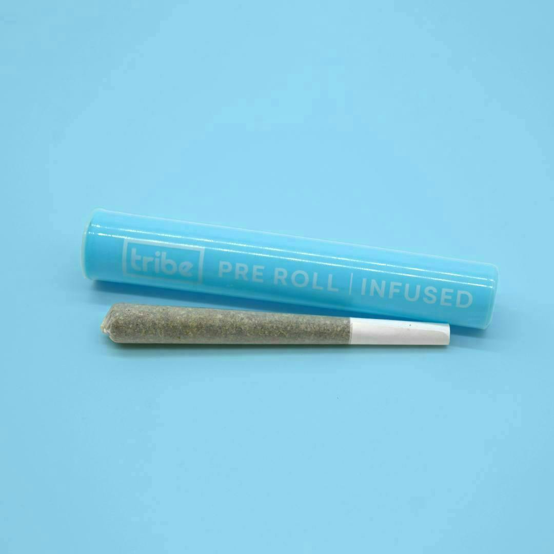 Tribe - Tribe | Zombie Side Snack | THCA Infused Joint | 1g - 1
