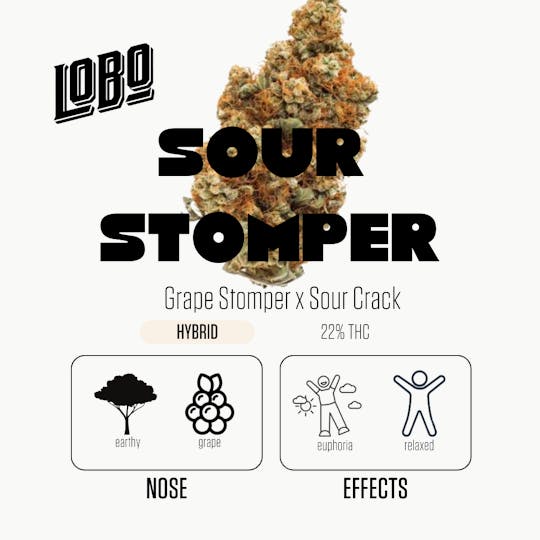Lobo Cannagar - Lobo - Sour Stomper - 3.5g - 1