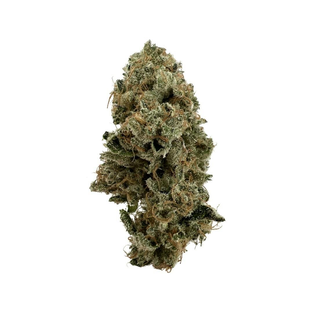 Indico - Neon Groove #1 - 1