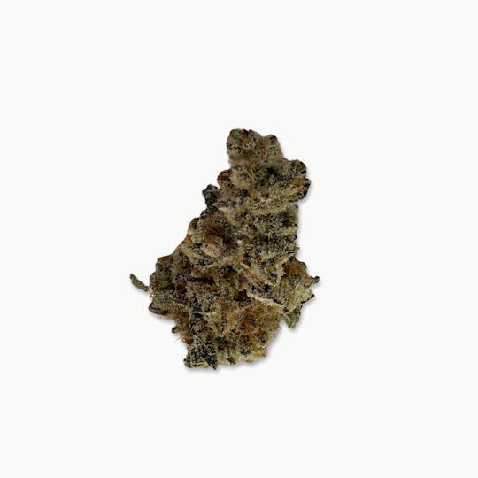Fuzzy Roots Organics - East Coast Brunch - Fuzzy Roots Organics - 1