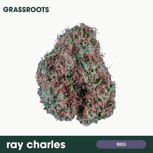 Grassroots - Ray Charles Flower - 1