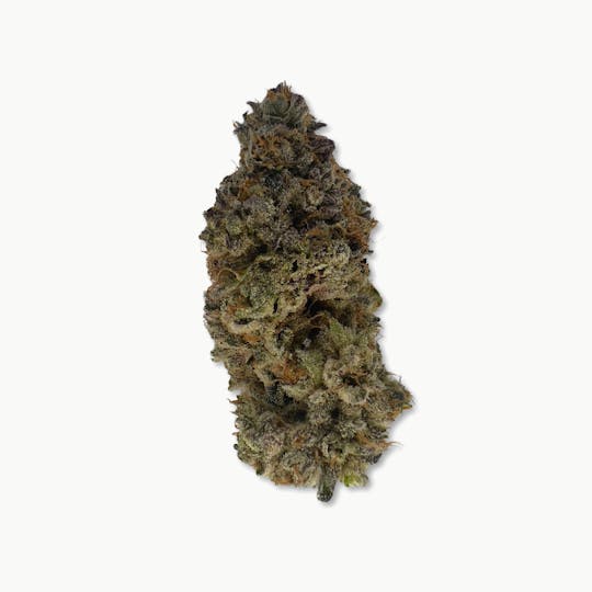 Indico - Kauai Punch - The Last Frontier - 1