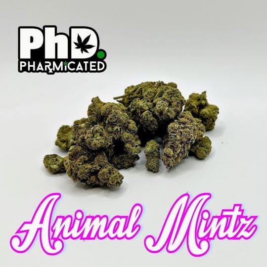 Pharmicated - PhD Indoor Flower - Animal Mintz (H) - 1
