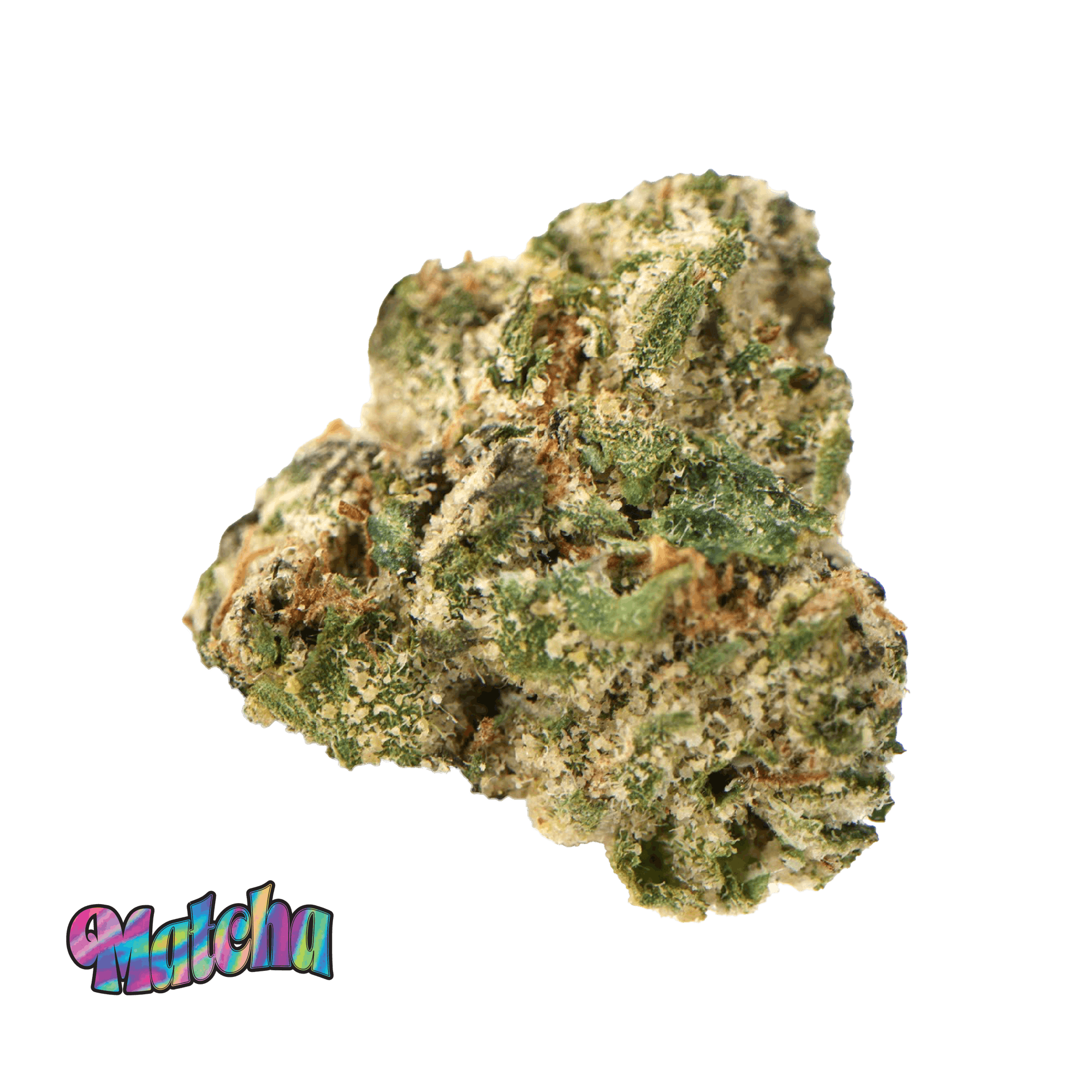 Traditional - Traditional - Matcha Minis 5g - 1