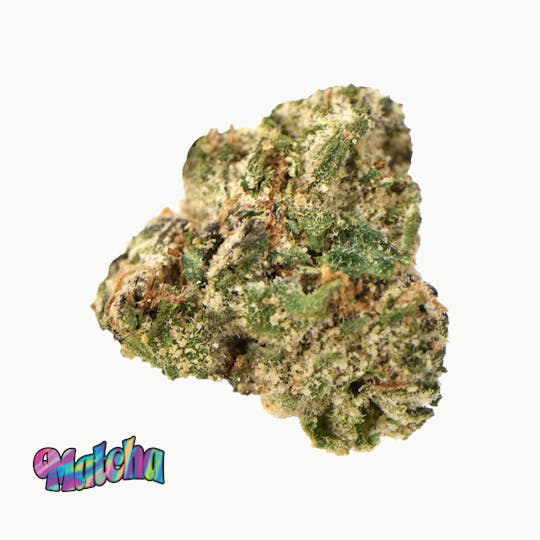 Traditional - Traditional - Matcha Minis 5g - 1