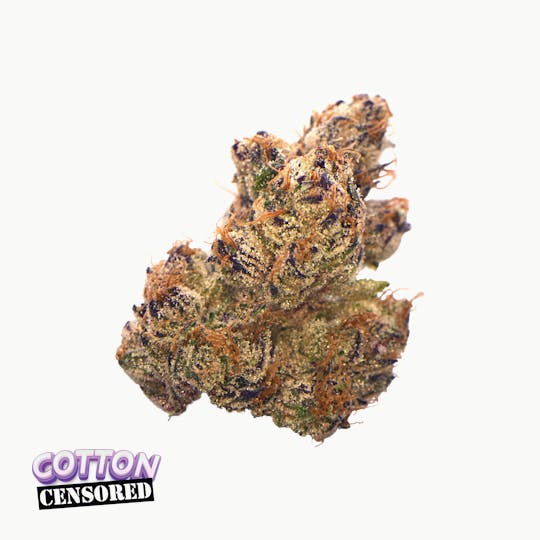 Traditional - Traditional - Cotton Censored 3.5g - 1