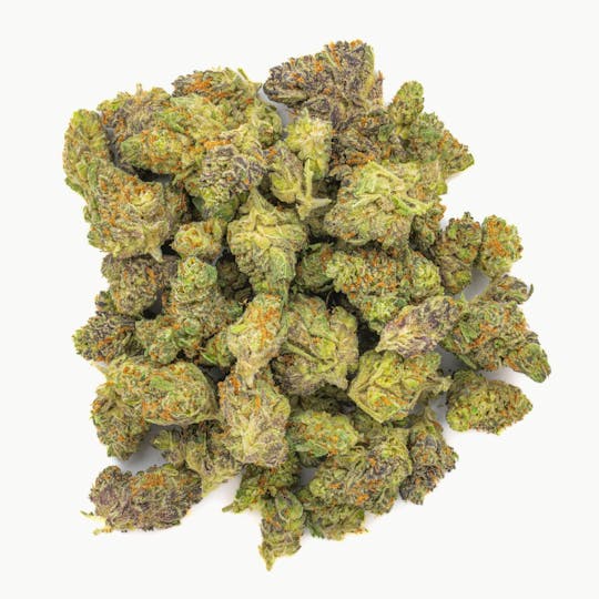 West Coast Cure - Divine Gelato - 7G Top Shelf Indoors Smalls - 1