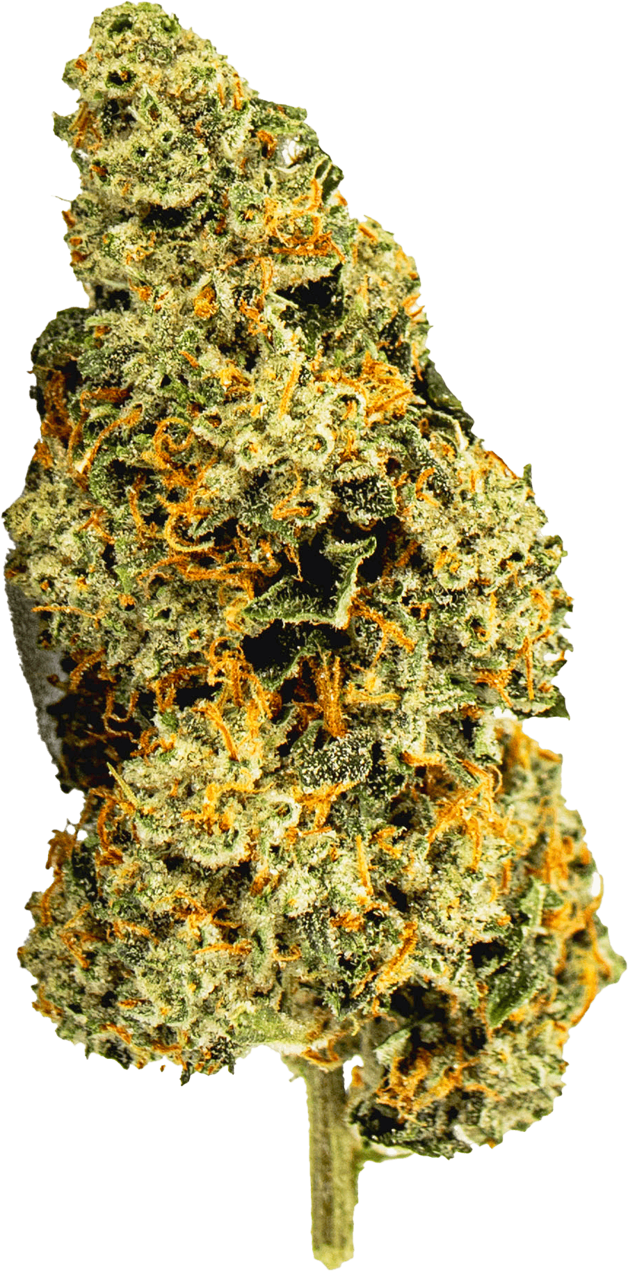 High Life Farms - MI - High Life Farms Alien OG Prepackaged 3.5g - 1