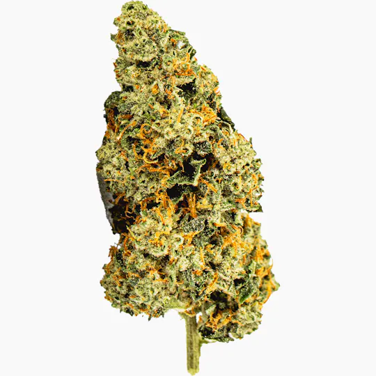 High Life Farms - MI - High Life Farms Alien OG Prepackaged 3.5g - 1