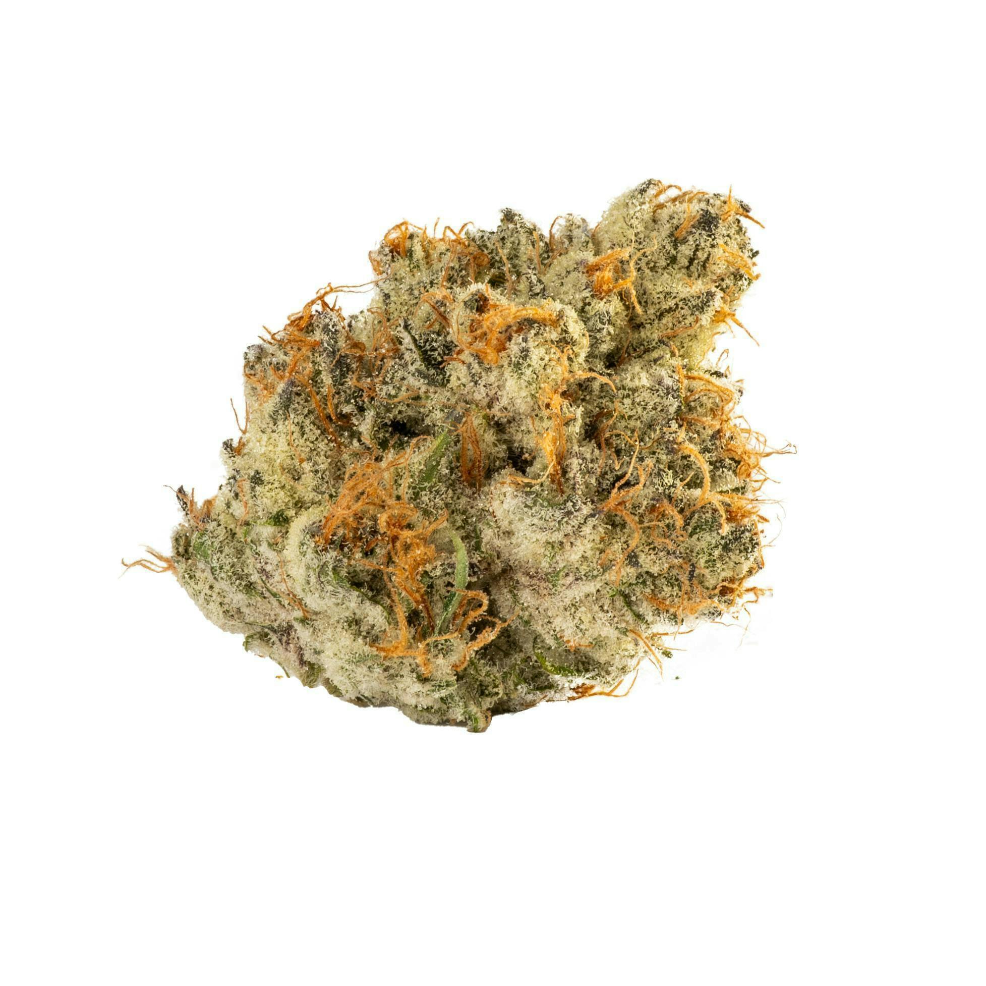 Decibel Gardens - Watermelon Punch | Indoor Flower | 1g - 1