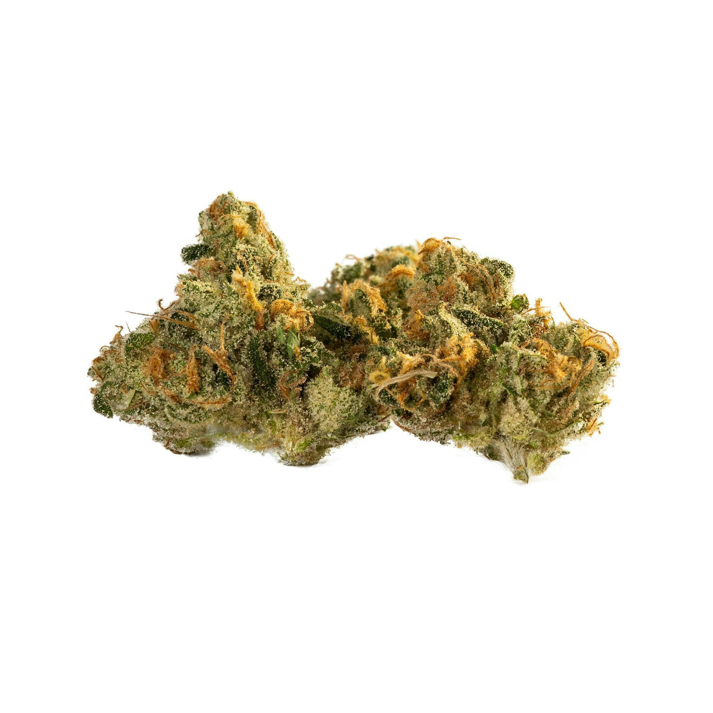 Decibel Gardens - Miyazaki Mango | Indoor Flower | 1g - 1