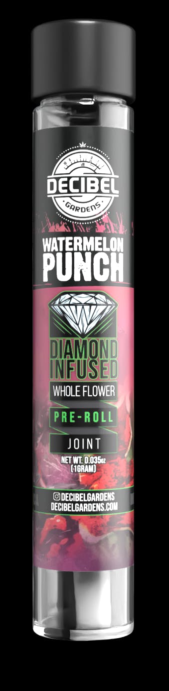 Decibel Gardens - Watermelon Punch | Infused Joint | 1g - 1