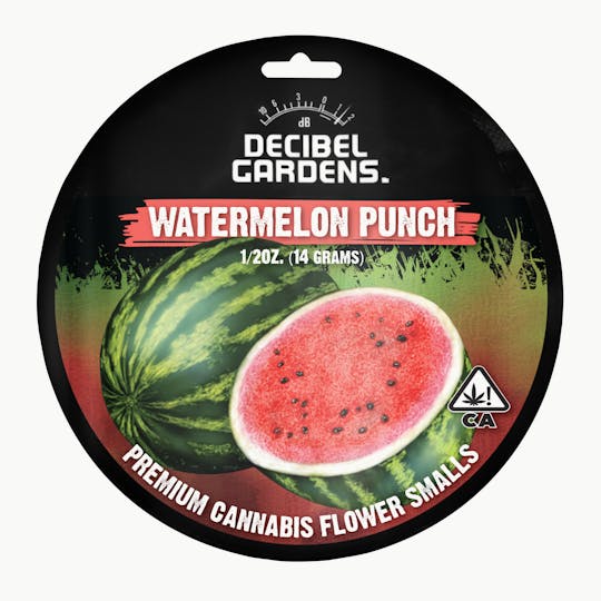 Decibel Gardens - Watermelon Punch Smalls (14g) - 1