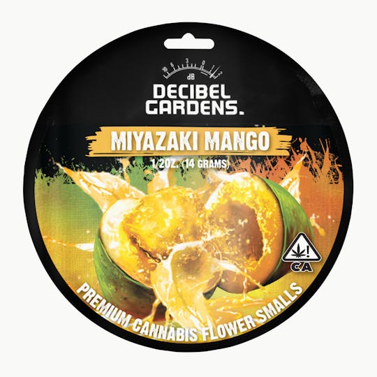 Decibel Gardens - Miyazaki Mango (14g) - 1
