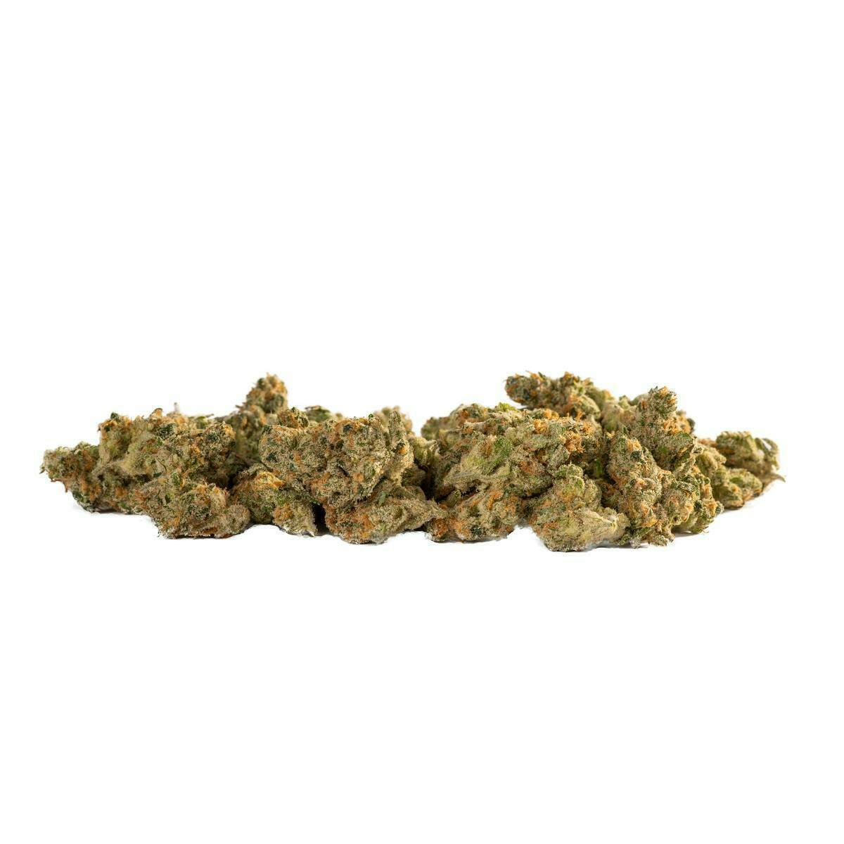 Decibel Gardens - Miyazaki Mango | Smalls | 14g - 1